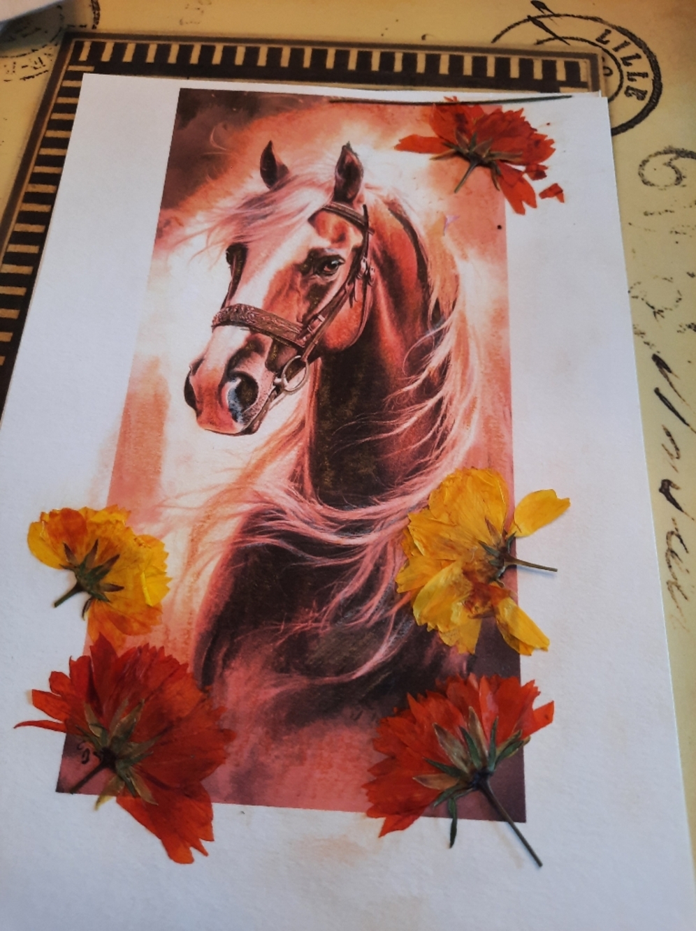 3 For 28$ -Dried Flowers and Ink- Hand Drawing Art - 5 X 7 With Enveloppe